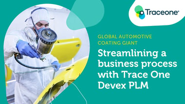 TO_CaseStudy_PLM_Feature_AutoPaint_02 (1)